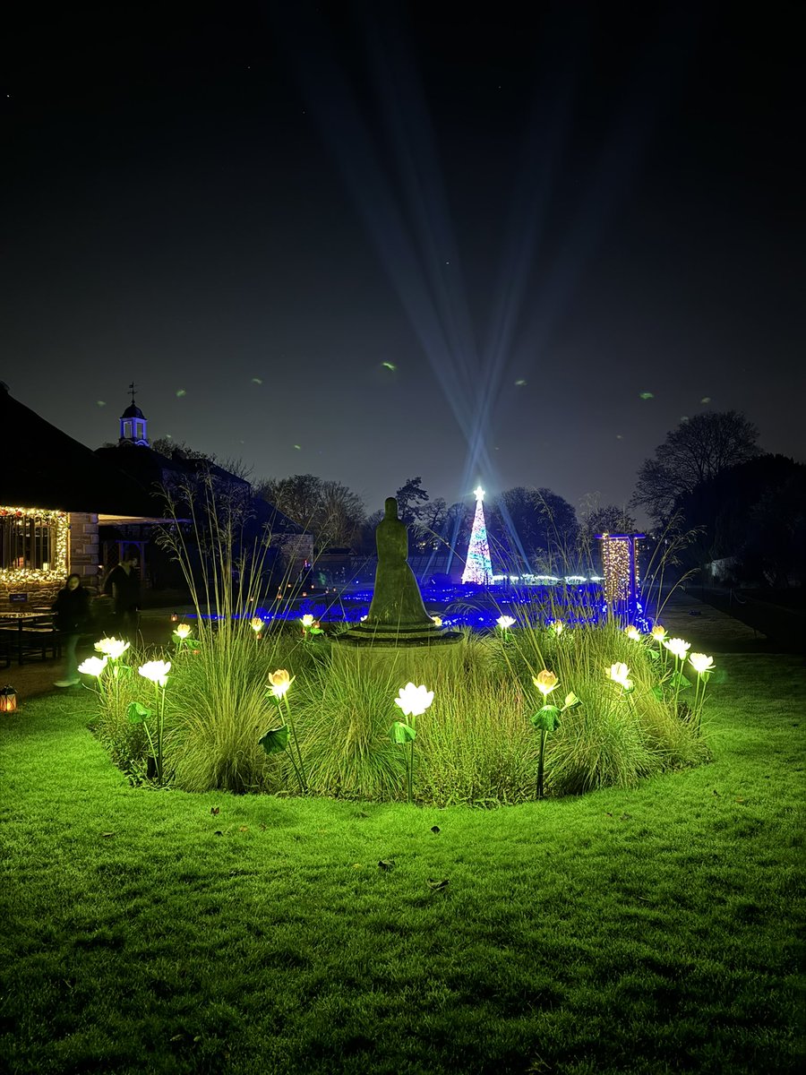 Annabel Lawrence tweet media