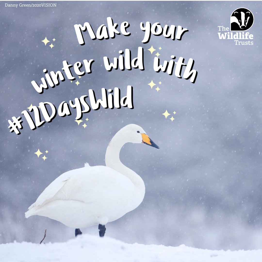 Herts & Middlesex Wildlife Trust tweet media