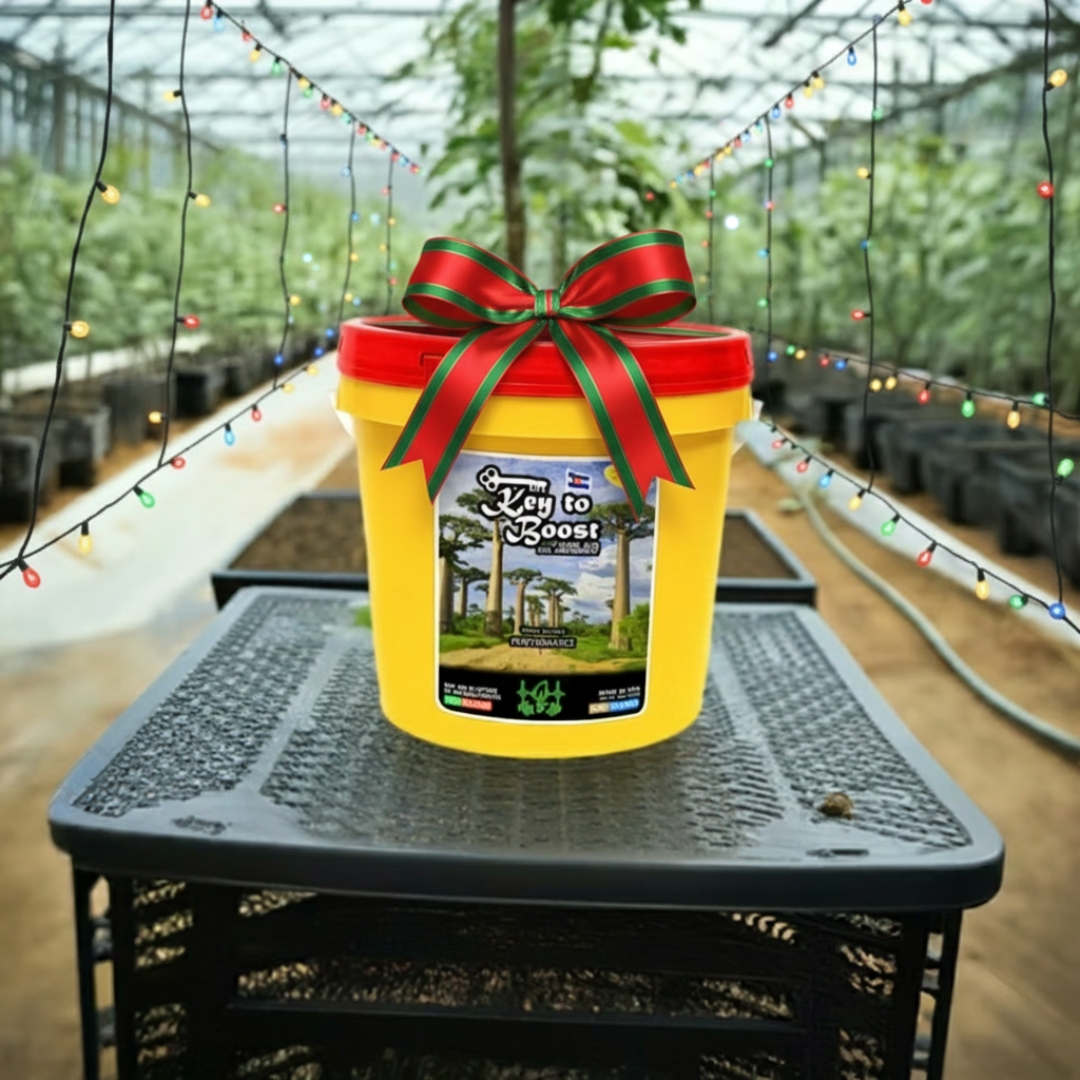 KeyToLifeSupply's tweet image. Key To Boost supports soil biology and nutrient uptake from the ground up—keeping your grow steady through the holiday season. 🎄

Cleaner inputs. Stronger response.  
#keytolifesupply #KeyToBoost #SoilHealth #HolidayGrow