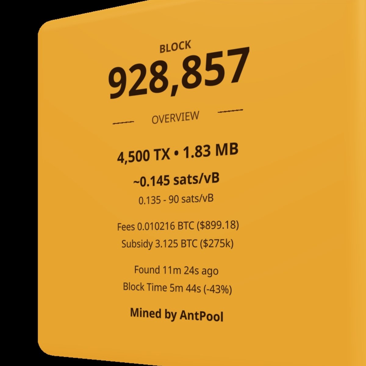 Ant ⏳️⛓️ tweet media