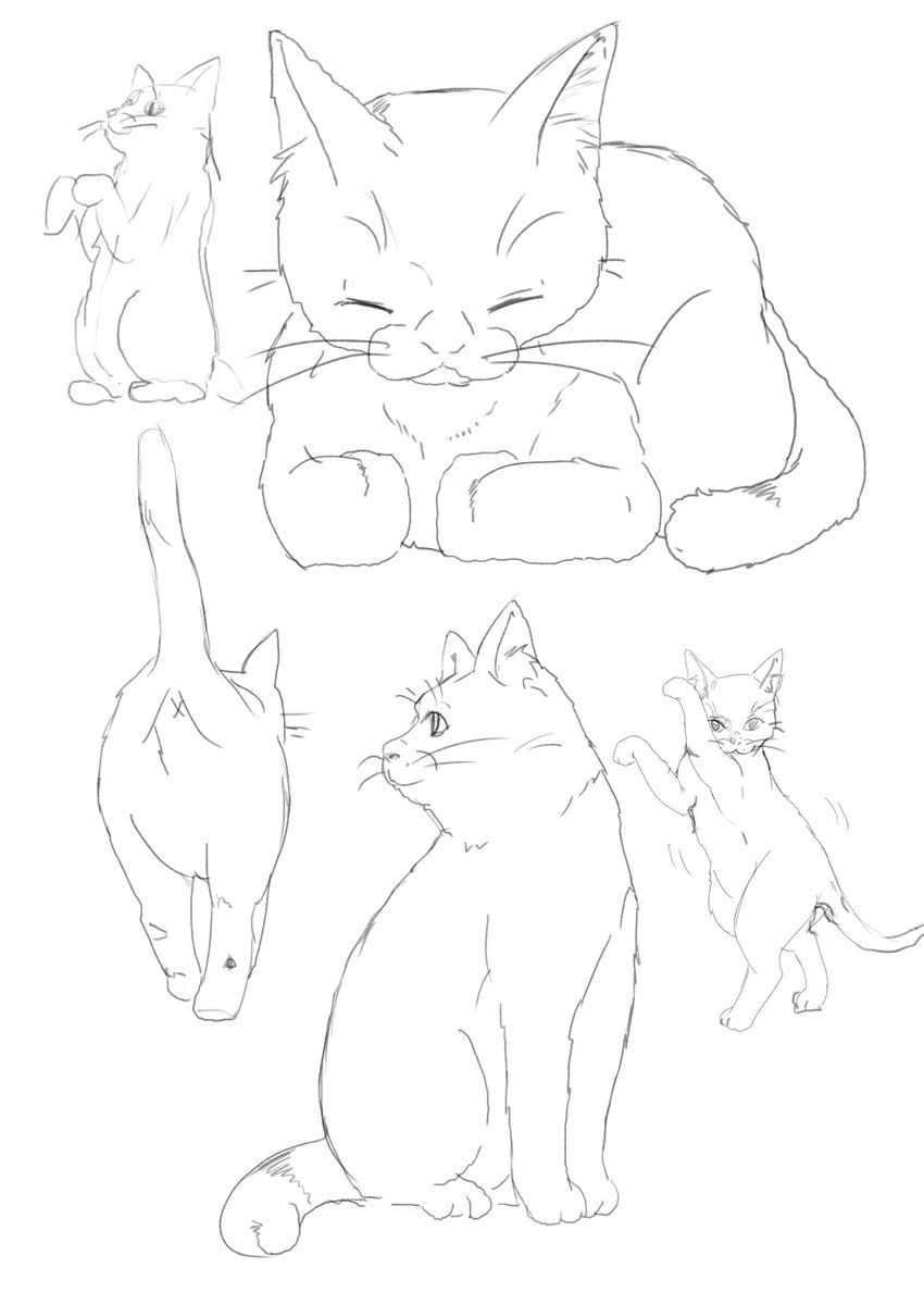 デフォルメがいらない生き物 