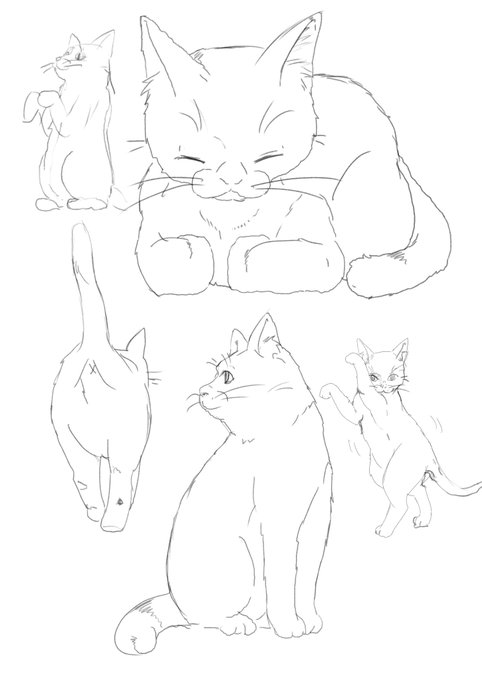 デフォルメがいらない生き物 