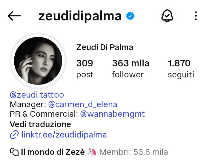 Ma guarda un po', FORTUNATAMENTE era solo un bug, la pagina è tornata e su chi si è scatenato tutto l'odio che non vedevano l'ora di far uscire fuori? Su Helena, ovviamente, a cui hanno fatto saltare 2 FANPAGE Heleners. 
Ma quando la finirete di prendervela con Helena per