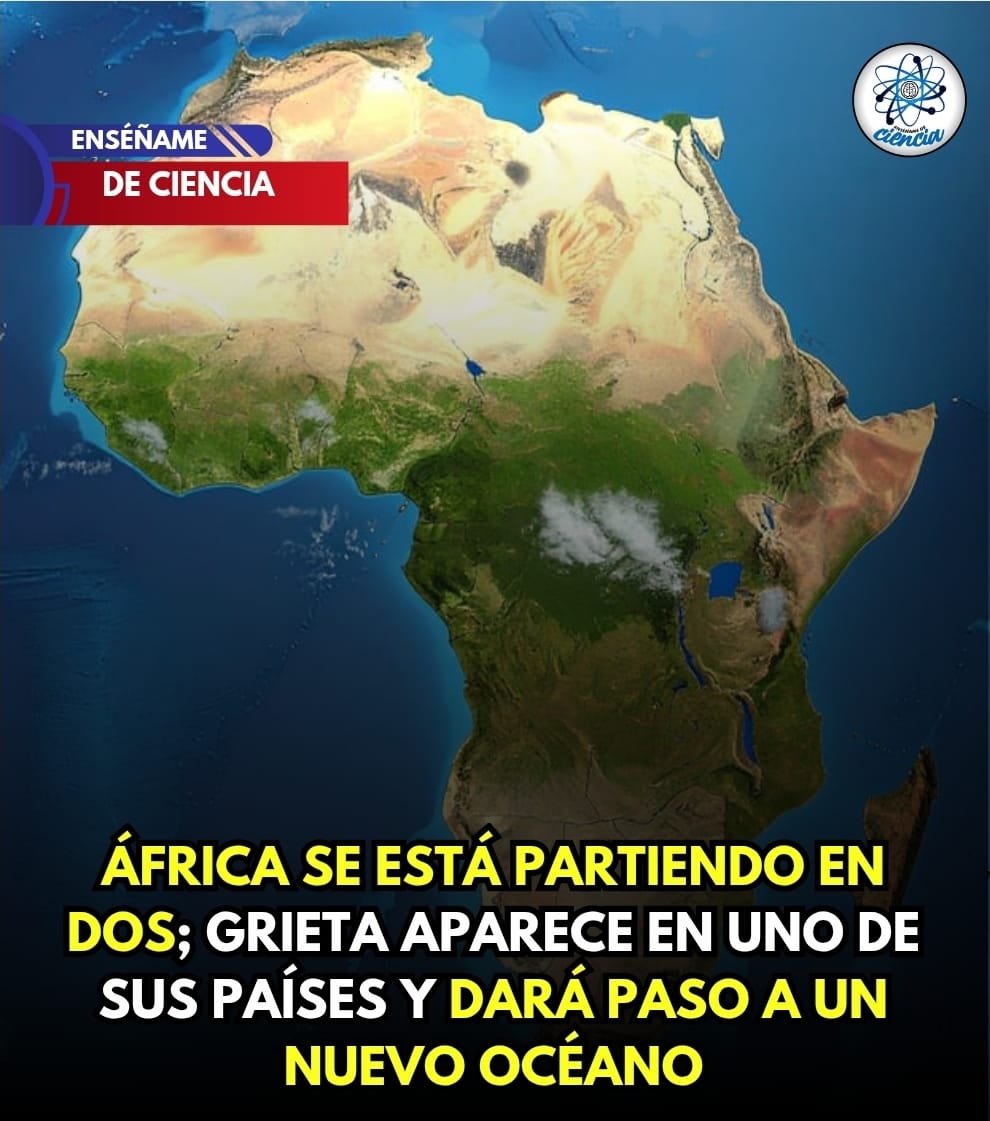 La revista científica de National Geographic ha dado luz sobre este suceso,  y es que confirma lo que se viene pensando desde hace mucho; el continente  africano sí está partiéndose en dos., image size:990x1121