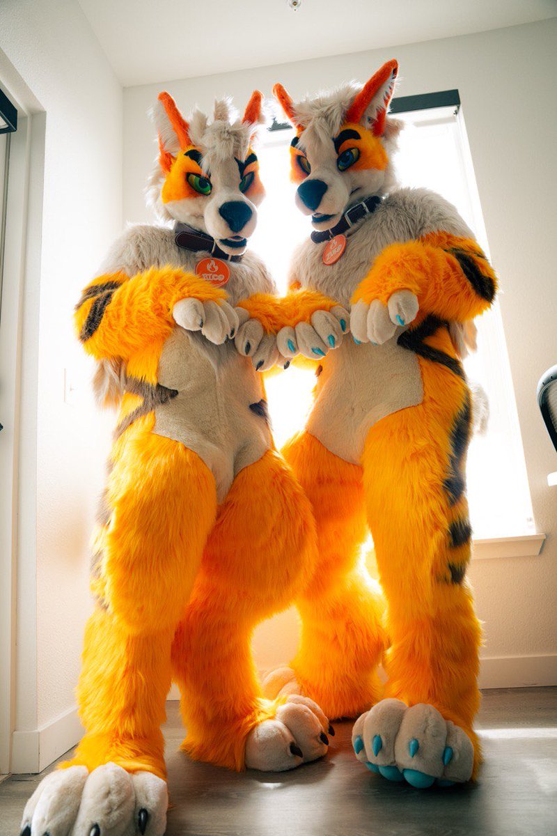 🔥🐶✨ tweet media