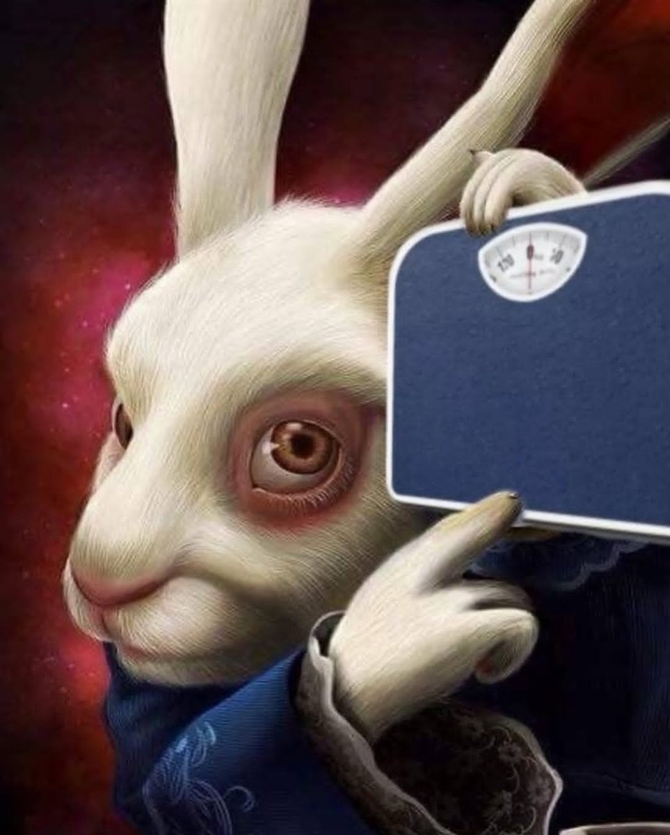 meaadobe's tweet image. Me during Christmas holidays