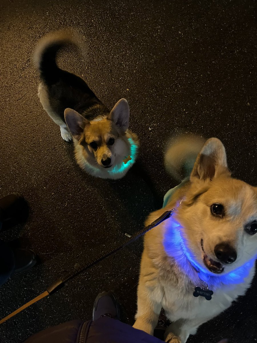 Мартин с невестой Адочкой желают всем хорошего вечера воскресенья.. 🌟