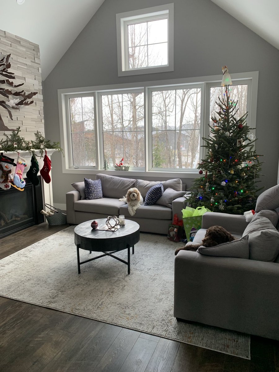 My pups are waiting for Santa 🎄🎅