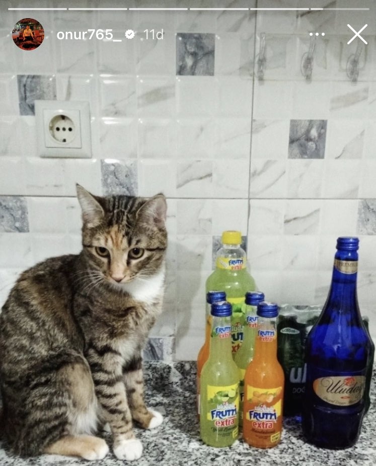 İhanet sürecine tepki gösterdiği için görevden uzaklaştırılan şerefli polis memuru Onur Şener’in Uludağ'a destek paylaşımı: