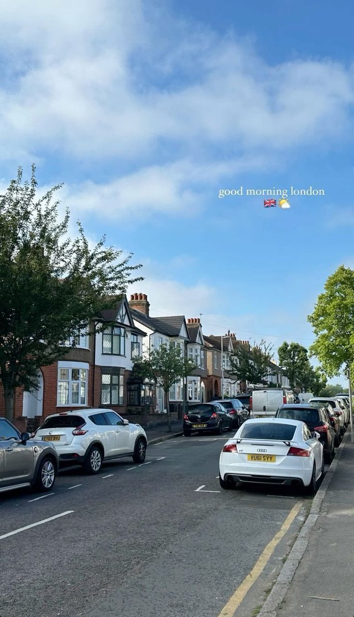 Cat synth tweet media