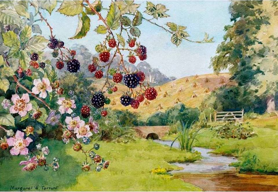 seraphicxc's tweet image. 