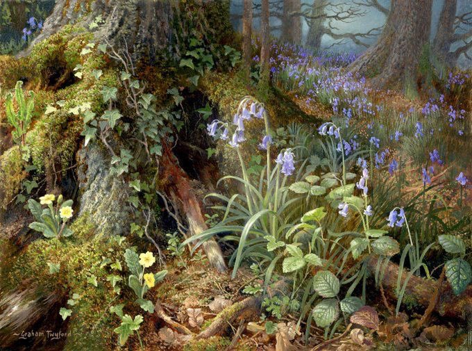 seraphicxc's tweet image. 