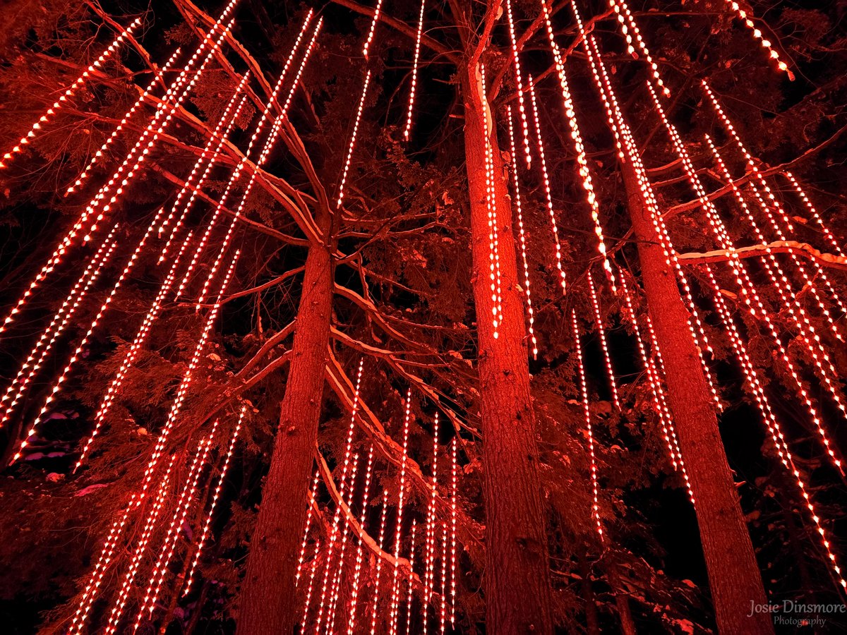 Magic and light, on a dark and cold night!
Wishing you all a very Happy Winter Solstice!

📍 Location:  Sandhill Nursery, in Huntsville, Ontario.

#WinterSolstice #sandhillnursary #DiscoverON