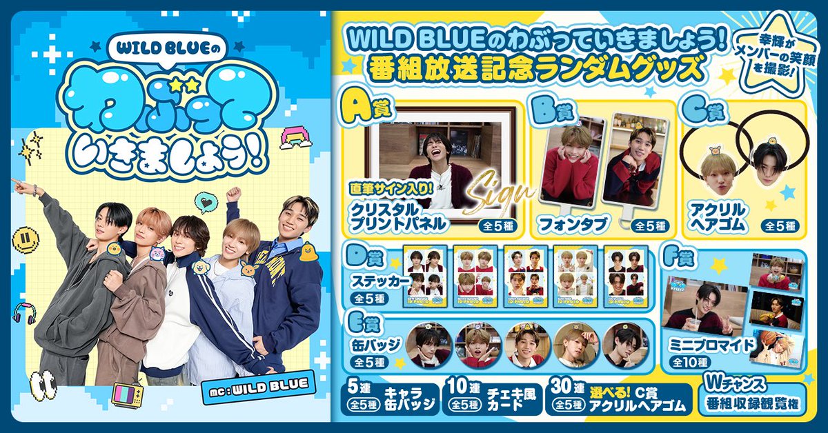⭐️ WILD BLUEグッズまとめ売り オフィシャルフォトカードセット(5枚セットランダム / 全30種) - WILD