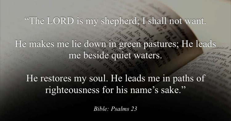 MosqueMaryam's tweet image. “The LORD is my shepherd; I shall not want. He makes me lie down in green pastures; He leads me beside quiet waters. He restores my soul. He leads me in paths of righteousness for his name’s sake.”@minishmael 

#NOISundays