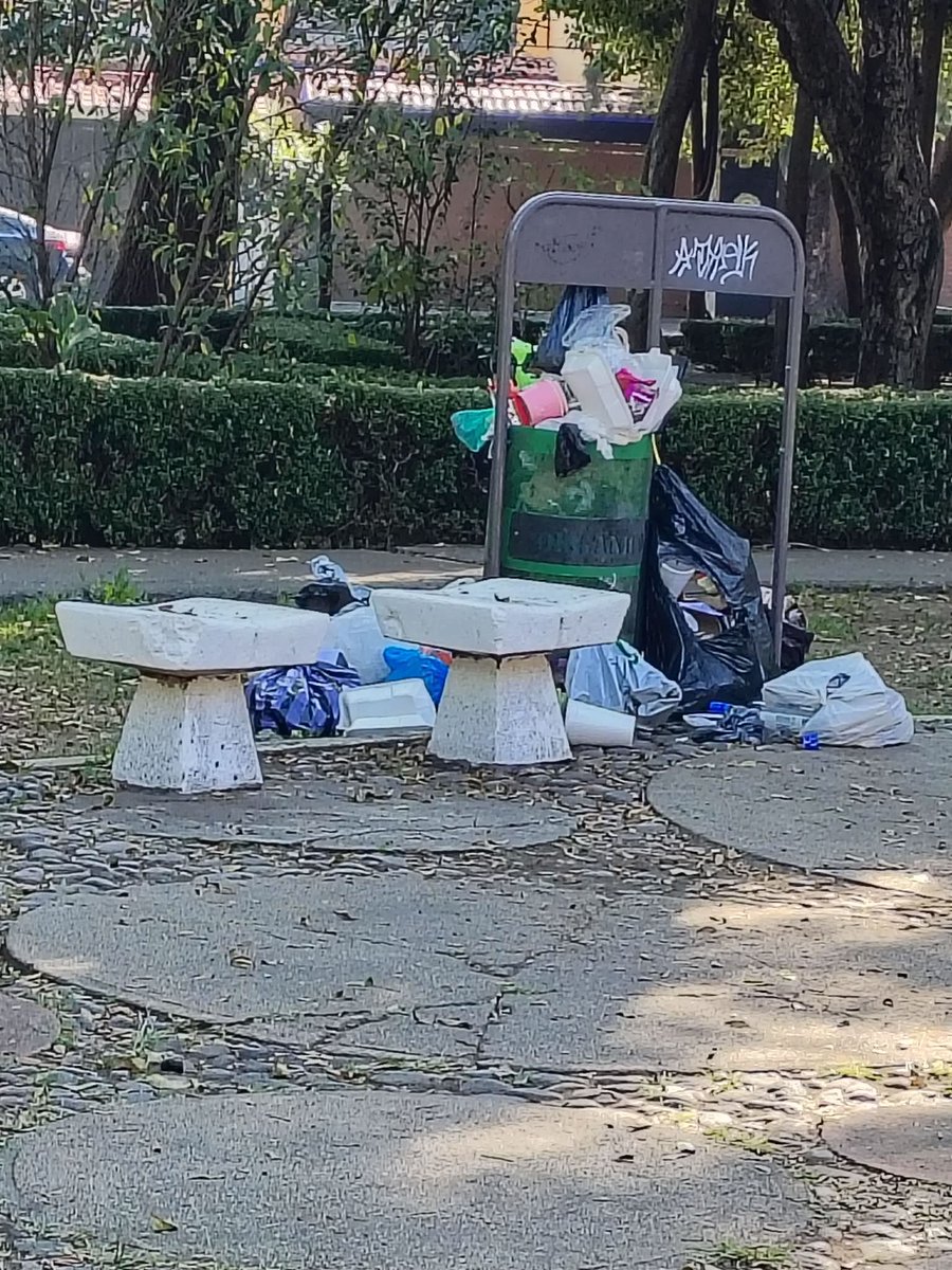 Tlalpan Vecinos tweet media