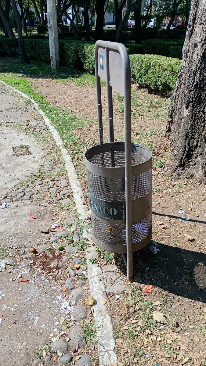 Tlalpan Vecinos tweet media