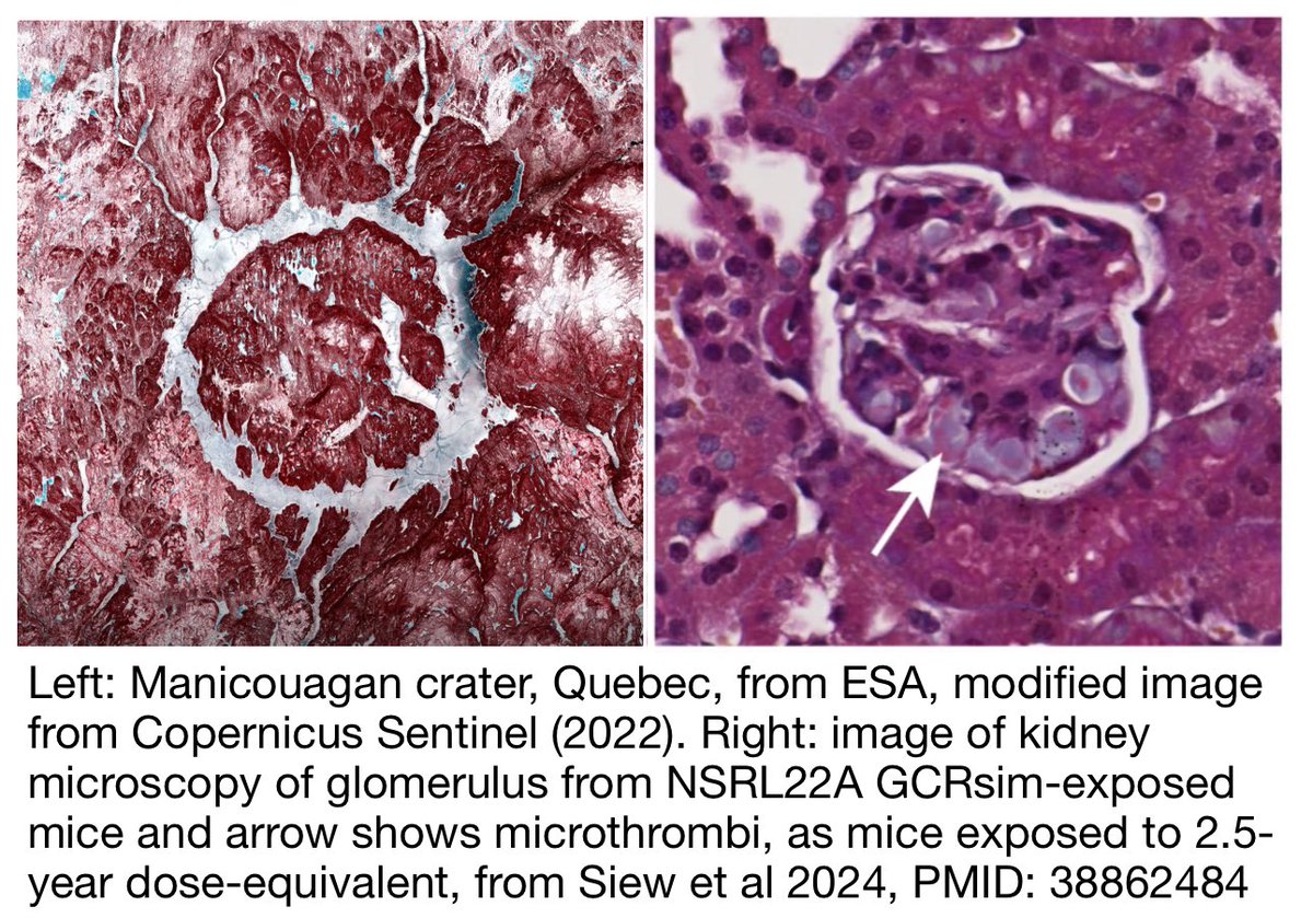 Ryan T. Scott tweet media