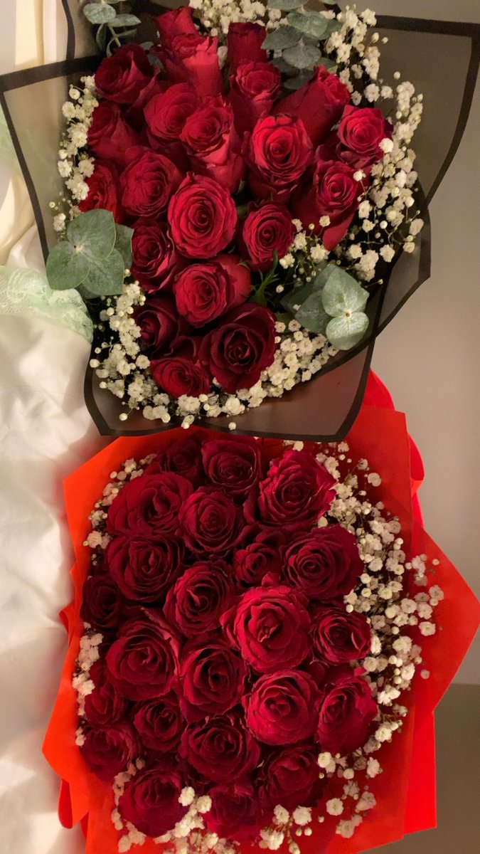 Les dernières roses de l’année😍 ou pas…