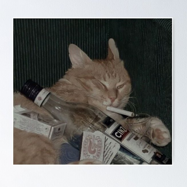 Ya se siente la Navidad: alcohol de regalo y la despensa lista hasta el año que viene 🎄🥂