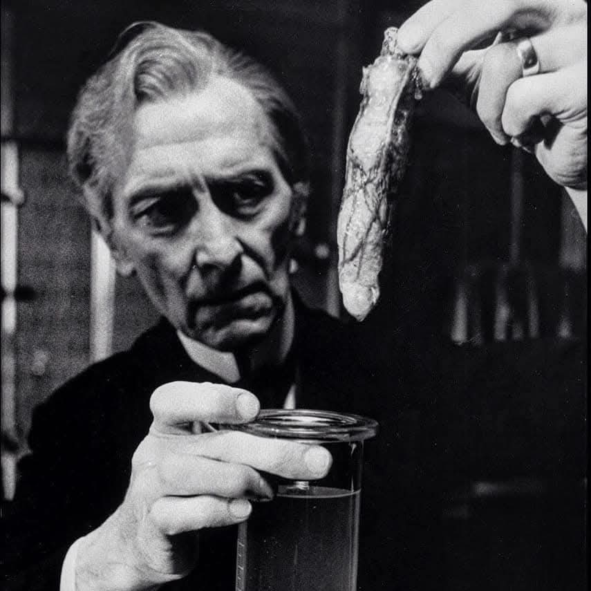 House of Dracula (☥𝐃𝐁) tweet media