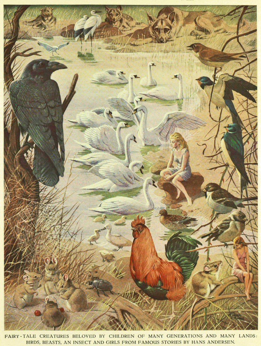 acephalemagic's tweet image. 