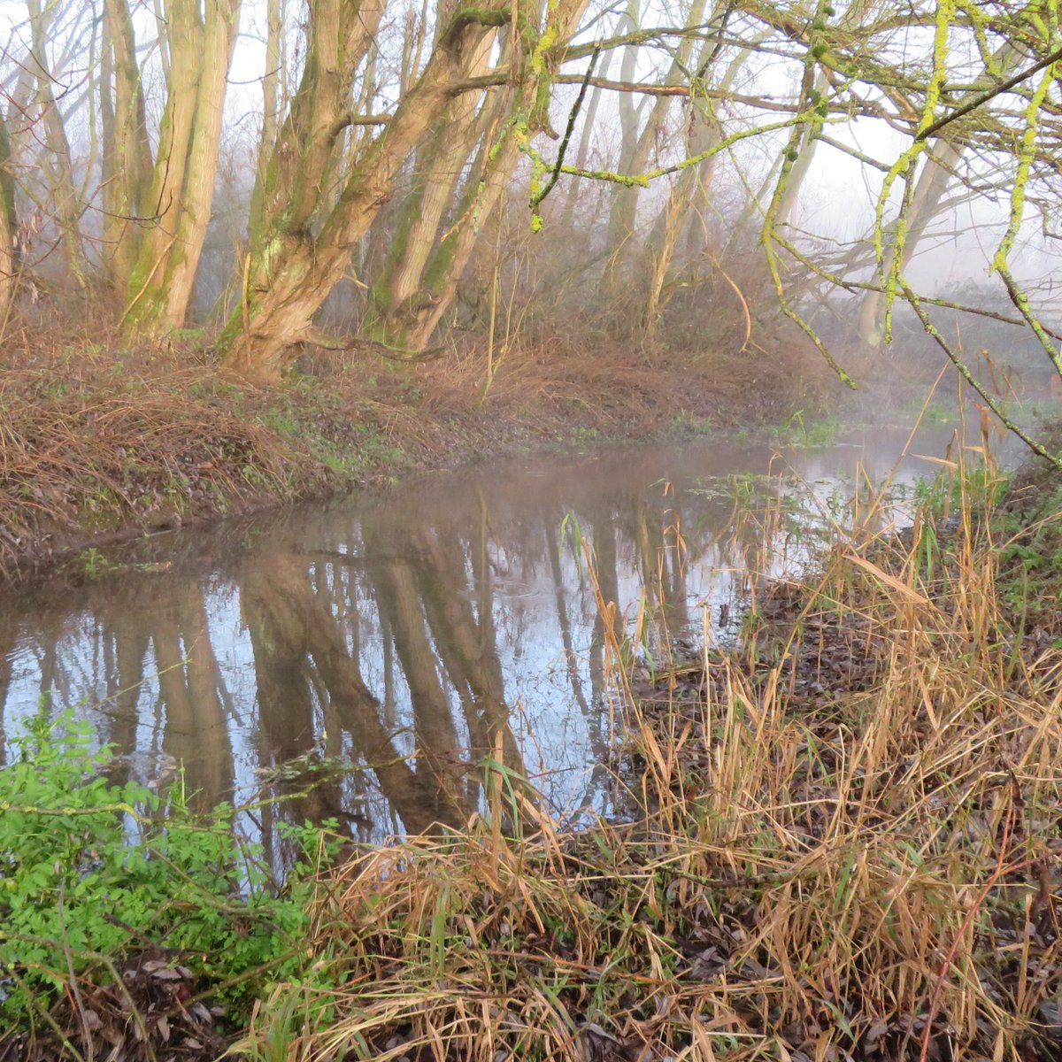 Ver Valley Society tweet media