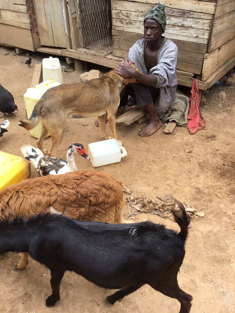 Survive as you make the voiceless animals survive 
Water remains very significant to the life of animals . water is life. As you celebrate this xmas don’t forget to support the well construction project for the animals, 

gofundme.com/f/dierenhulp-i…