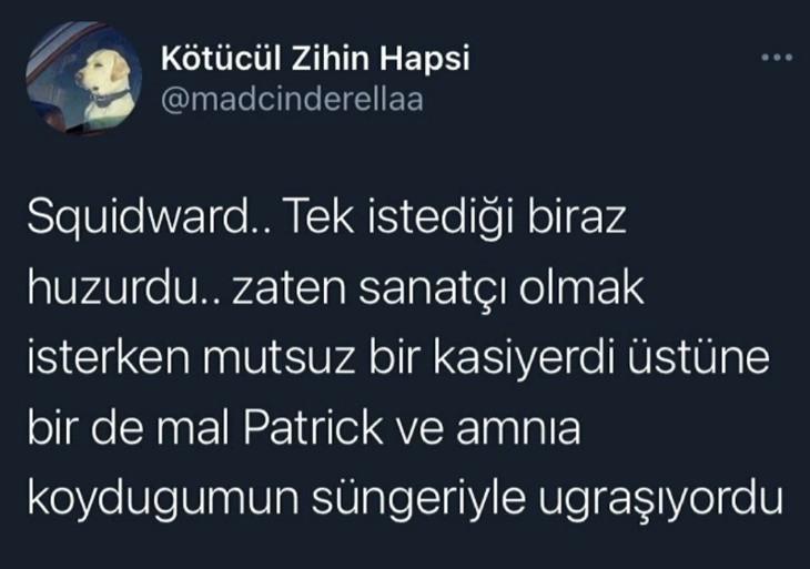 İT KÖPEK A.Ş. (@itkopekas_) on Twitter photo 