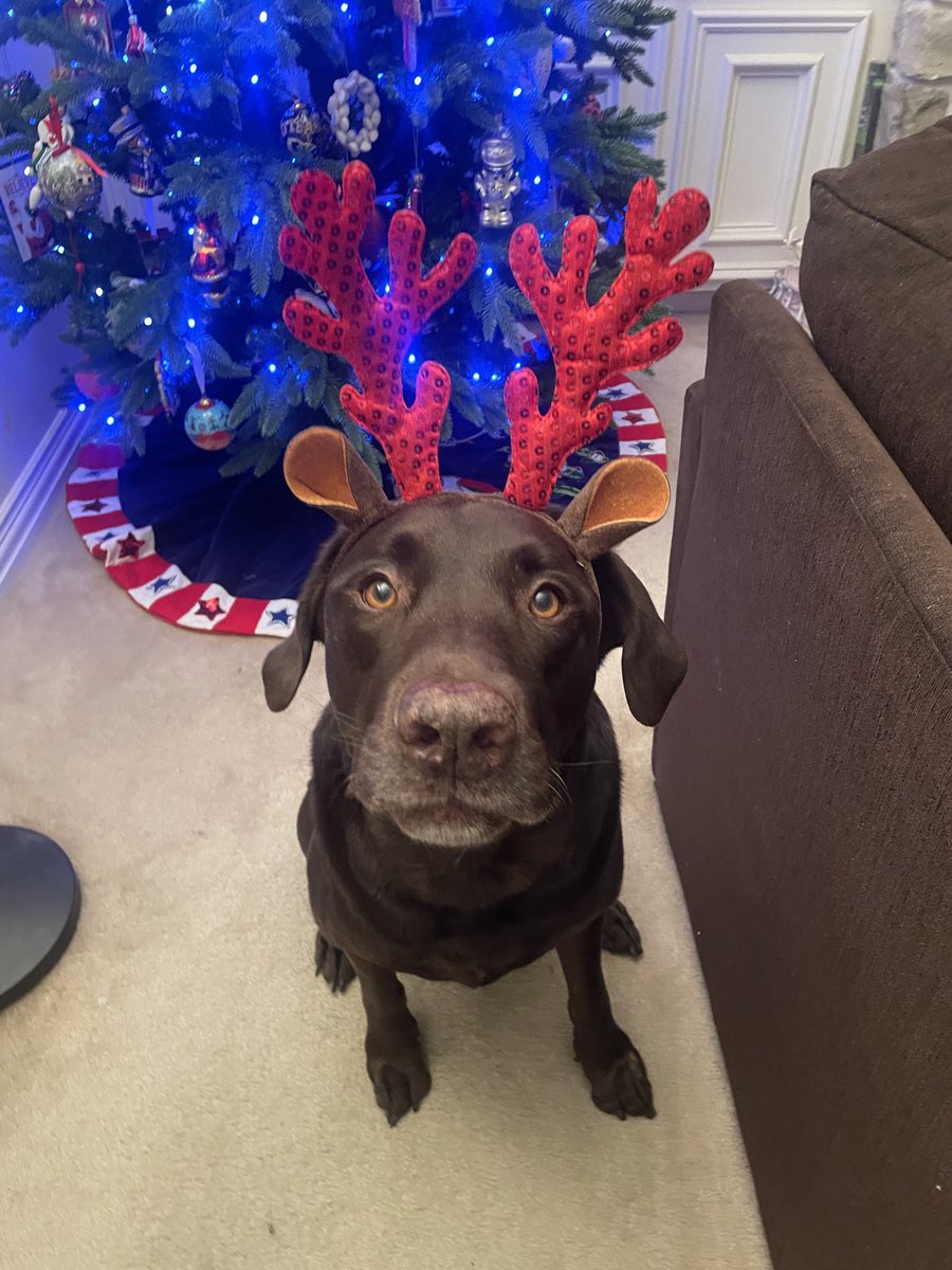 I’m ready for Christmas! Are you? There is still time for you to buy my gift…just sayin’. <a href="/emilymadelyn_/">emily dear</a>