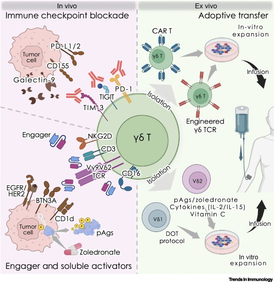 Waggoner Lab tweet media
