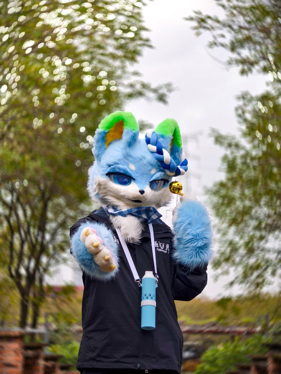 SDfurry123's tweet photo. 快来跟小狗一起玩 https://t.co/dsKQIZfWBl