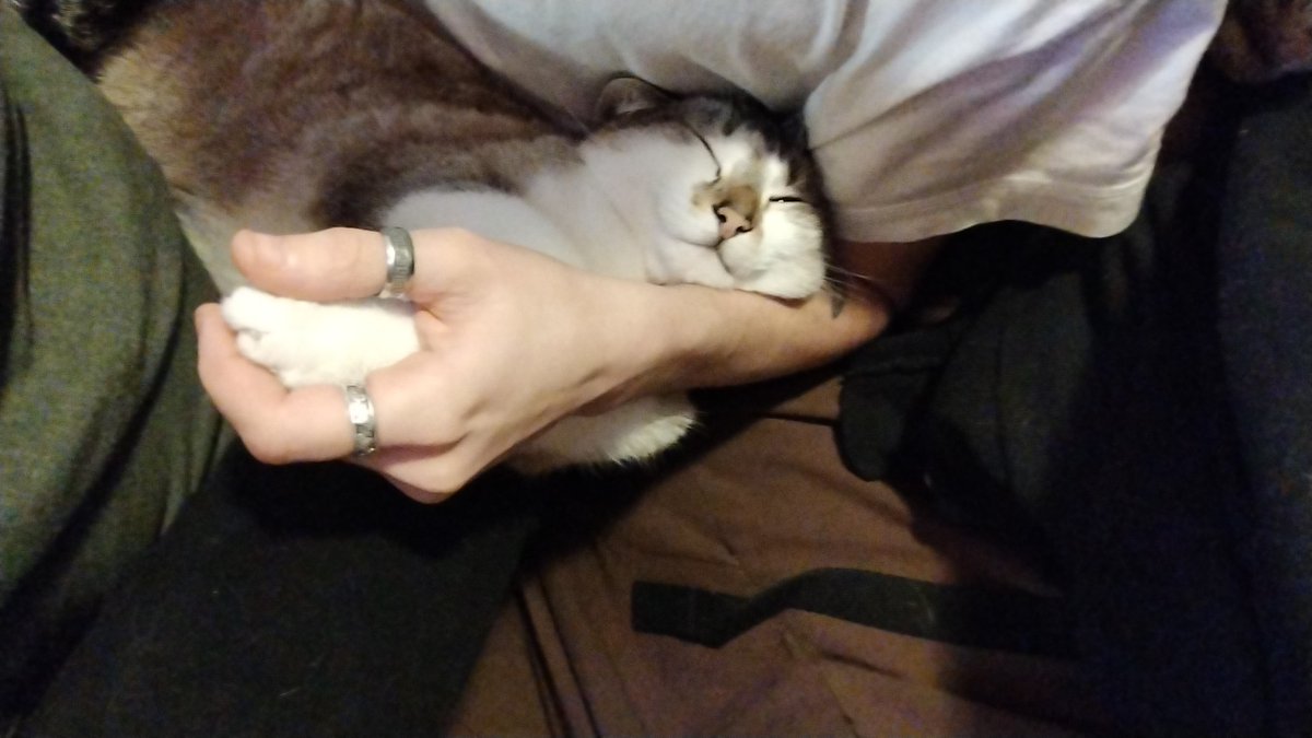 Kisa_48's tweet photo. Gros câlin https://t.co/JmKIwjiY6y