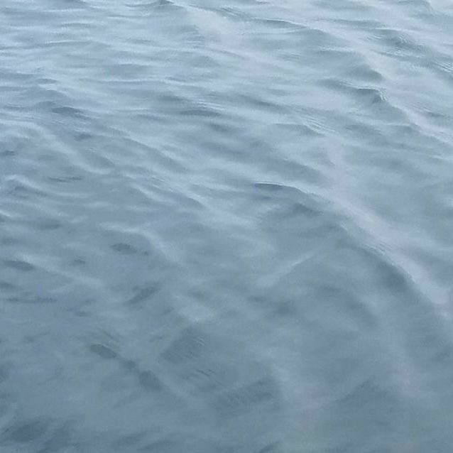 seraphicxc's tweet image. 