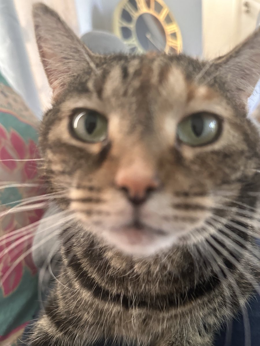 no idea who am i tweet media