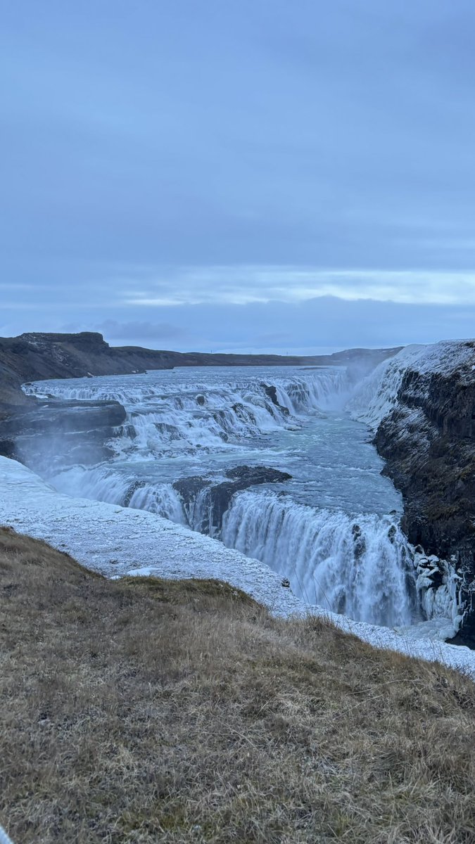 i0ouv's tweet photo. アイスランド🇮🇸
#うさうさびーむ https://t.co/LZQUP6qt36