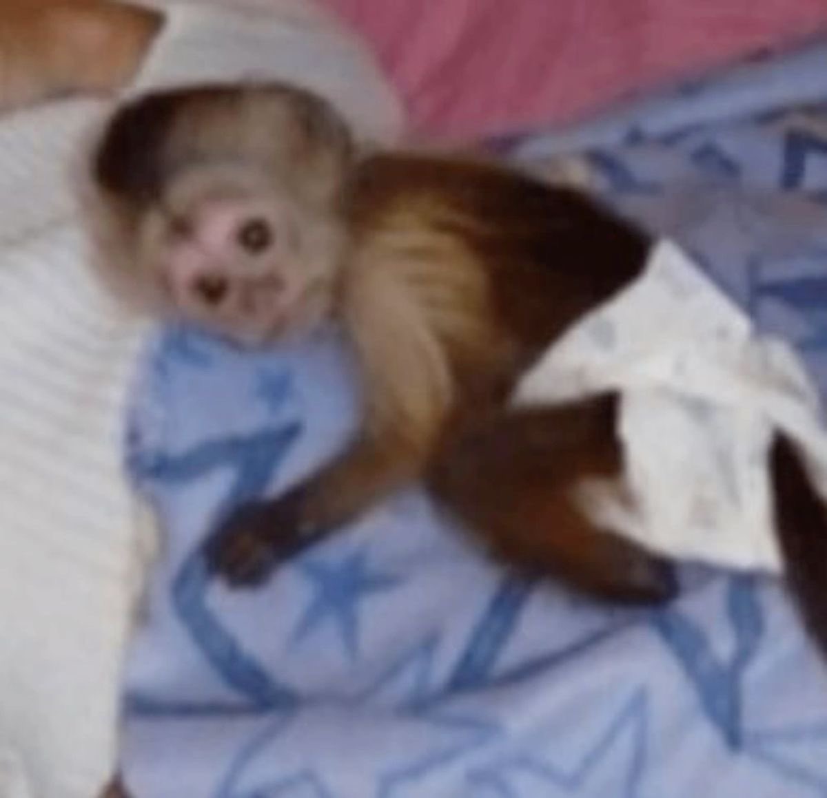 kadito_sg's tweet image. Peores cosas de vivir sola: cuando te enfermas y tenes que quedarte así esperando la muerte sin que nadie te alcance un tecito a la cama