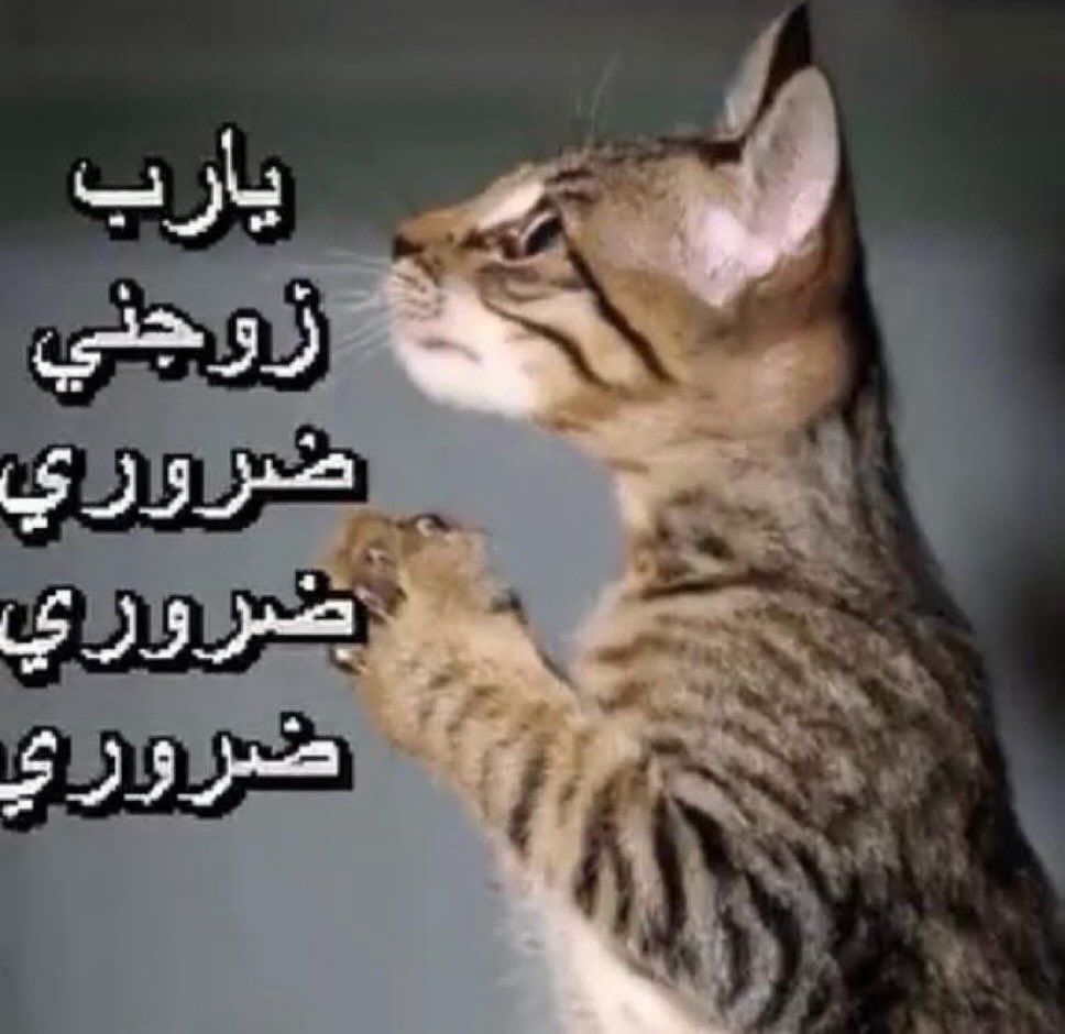 M (@vlluz1) on Twitter photo 