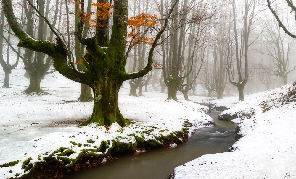 Magicalspain's tweet image. 