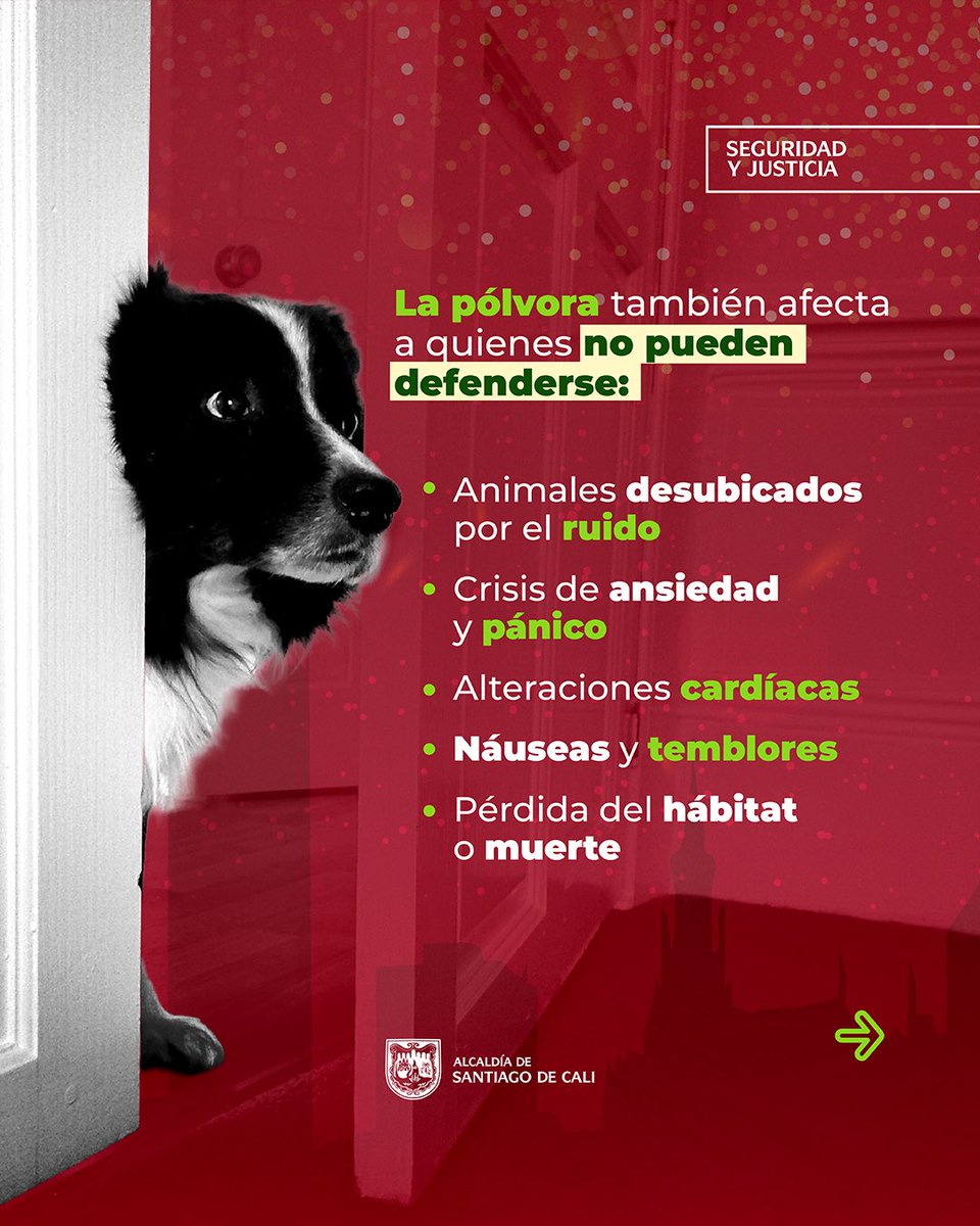 Seguridad y Justicia tweet media