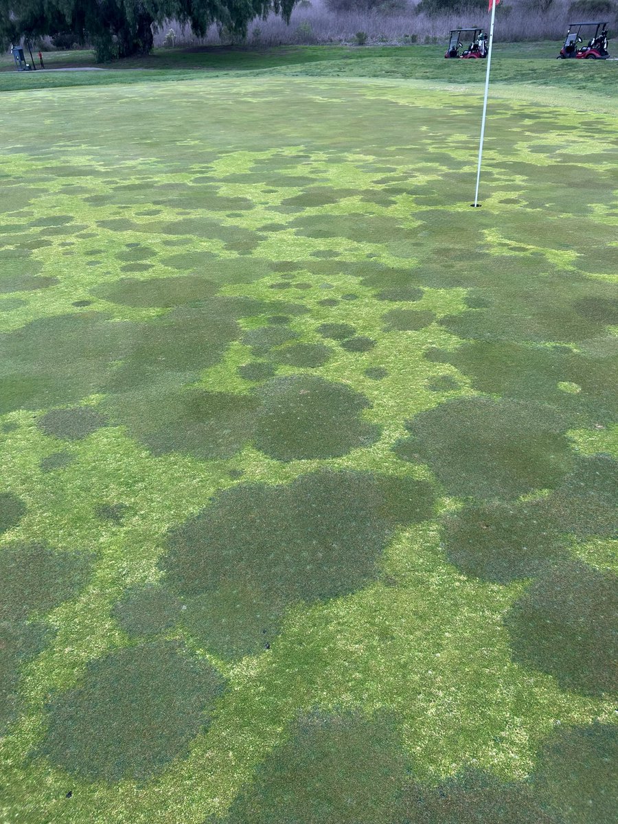 Michael Vrska tweet media