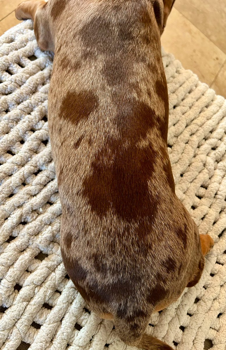 Michael Vrska tweet media