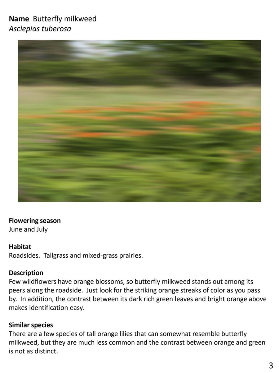 dearvotion's tweet image. This is a very important topic to me.