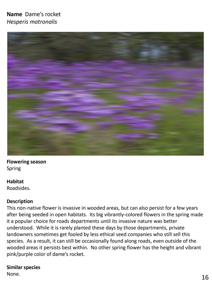 dearvotion's tweet image. This is a very important topic to me.