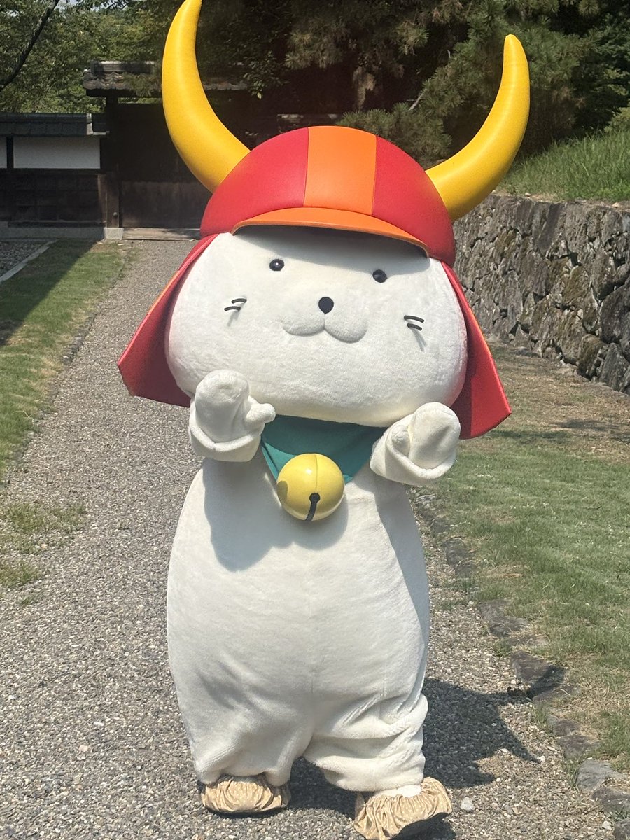 あきにゃん🦢🎵歌とハープが好き🦢🎵第九のソロを歌いたい