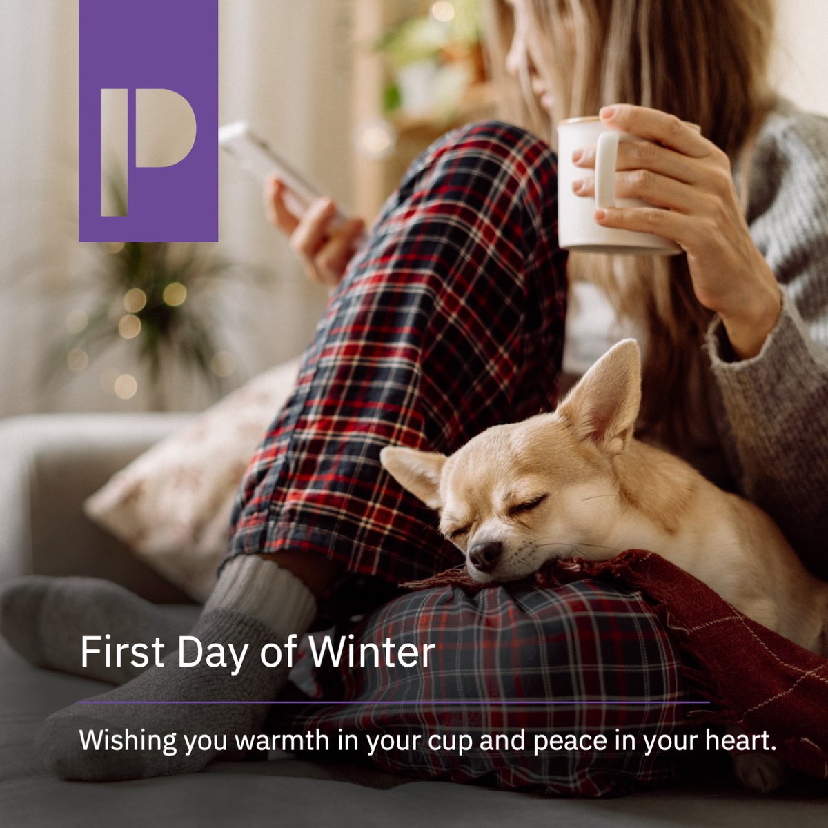 PrideRP_'s tweet photo. We blinked, and winter is here! A time for holiday celebrations, longer nights, nesting, and resting. Happy Winter Solstice on behalf of Pride Resource Partners! 

#WinterSolstice #WinterIsHere #FirstDayOfWinter https://t.co/b6rzrv0kd0