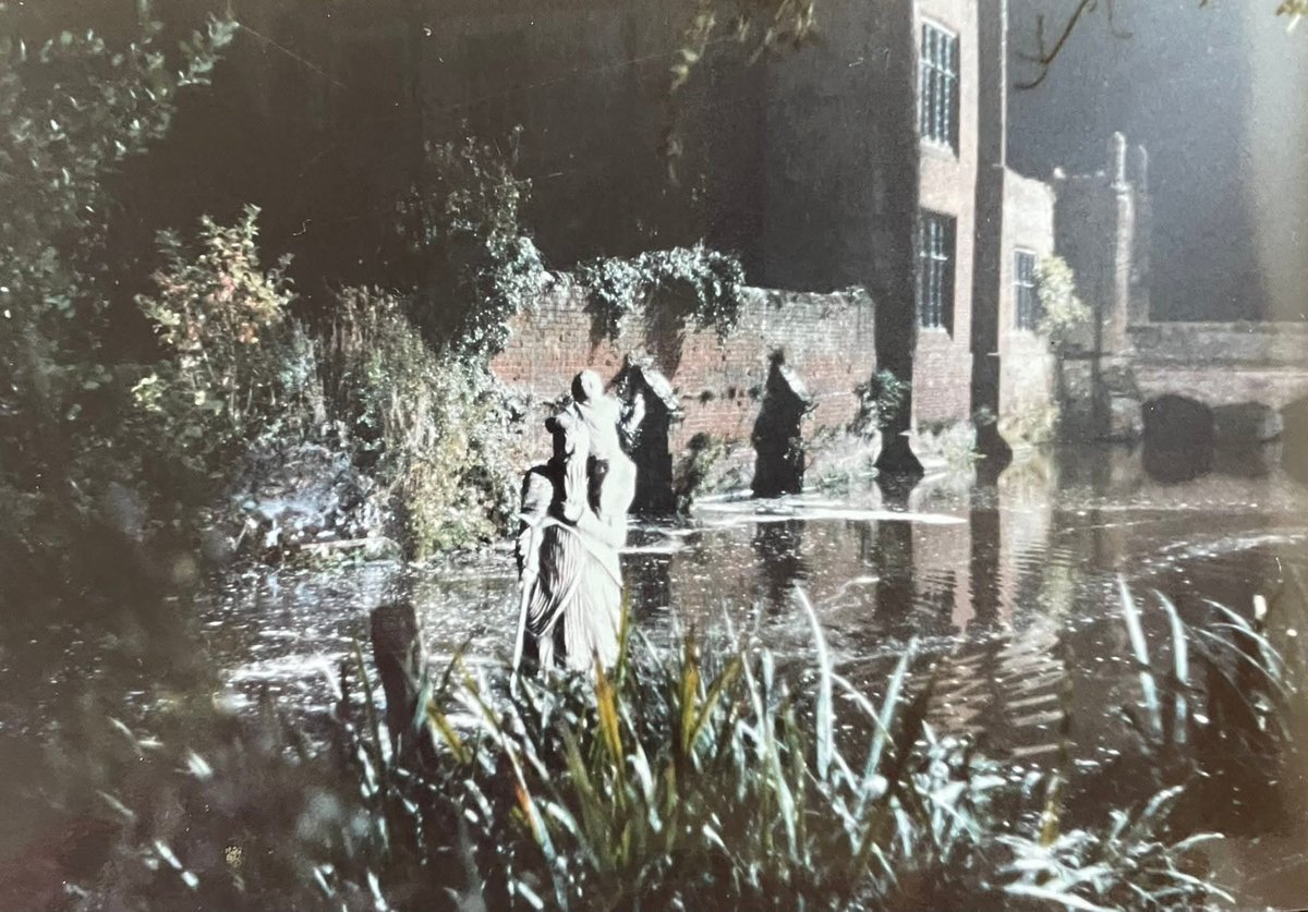 TheKnowe's tweet image. Some more wonderful photos from Alan Spalding 💚
#childrenofgreenknowe