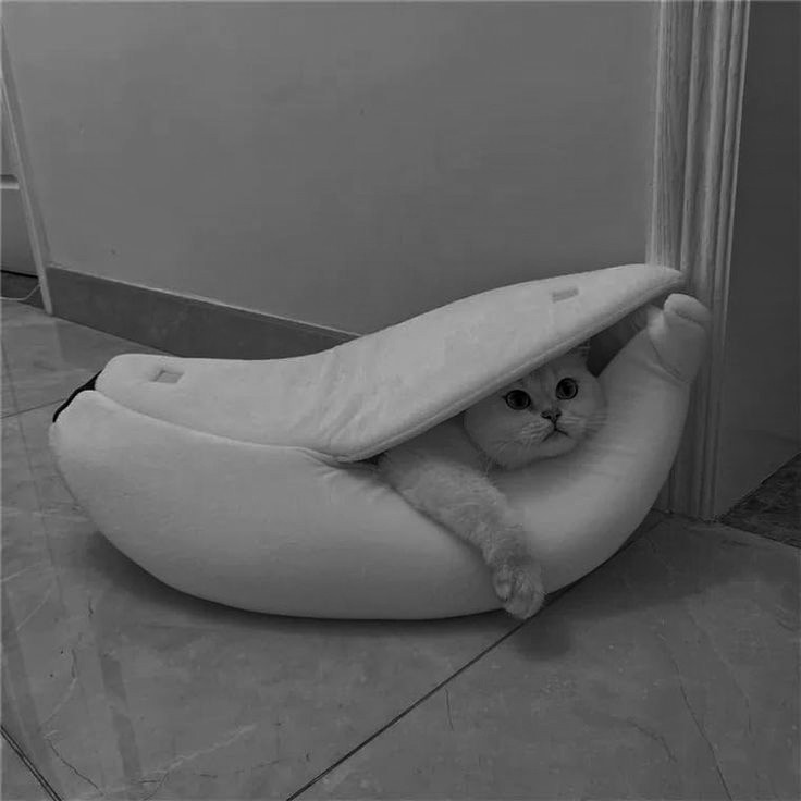 ๐ฟ๐๐ถ๐ผ๐น๐ธ๐
โธธ tweet media