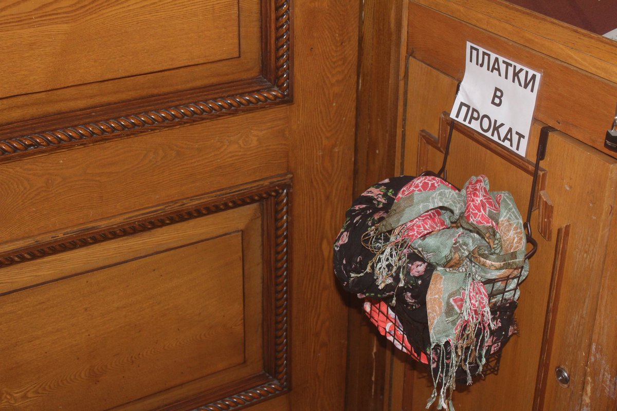 declawed__'s tweet image. 