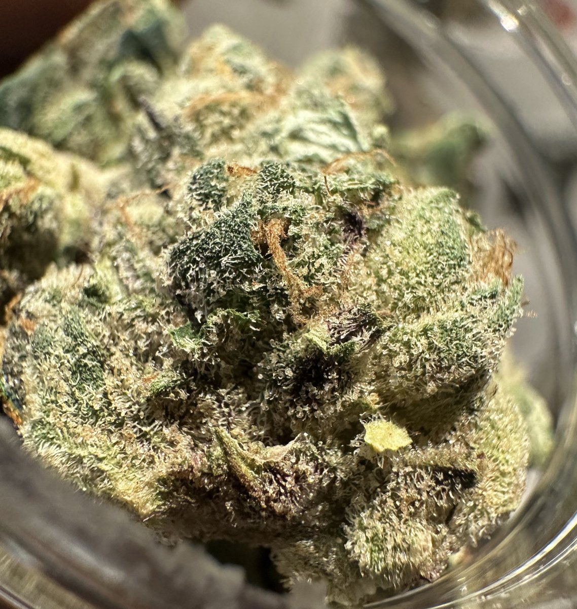 Jayism1's tweet photo. Close-up on these buds w/ just a hint of purple frost is hitting different (no filter)
calm vibes, sweet floral terps & an elegant high that melts stress away
rate this nug 1-10! ๐
#PurpleStrains #THC22 #420Daily #HighSociety #Weedporn #frostybuds https://t.co/Q6p7qbtuat